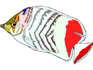 Sticker Custom Preview Image #014930 Animals Aquatic Butterfly Fish7