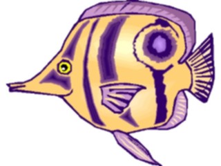 Sticker Custom Preview Image #014932 Animals Aquatic Butterfly Fish9