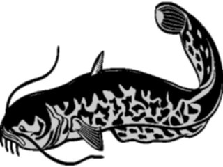 Sticker Custom Preview Image #014934 Animals Aquatic Catfish1