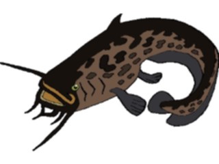 Sticker Custom Preview Image #014937 Animals Aquatic Catfish4