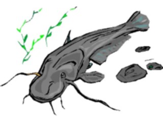 Sticker Custom Preview Image #014938 Animals Aquatic Catfish5