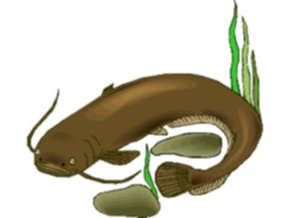 Sticker Custom Preview Image #014939 Animals Aquatic Catfish6