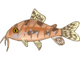 Sticker Custom Preview Image #014942 Animals Aquatic Catfish Corydoras1