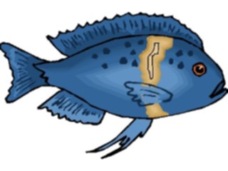 Sticker Custom Preview Image #014947 Animals Aquatic Cichlid African