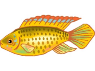 Sticker Custom Preview Image #014952 Animals Aquatic Cichlid Dwarf3
