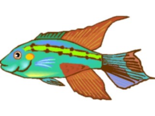 Sticker Custom Preview Image #014956 Animals Aquatic Cichlid Dwarf7