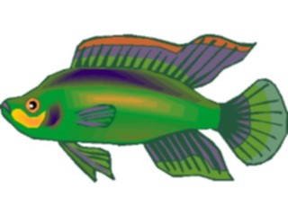 Sticker Custom Preview Image #014957 Animals Aquatic Cichlid Dwarf8