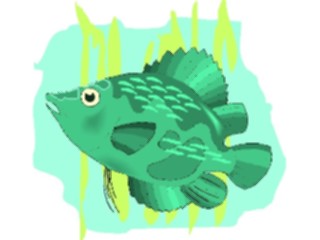 Sticker Custom Preview Image #014961 Animals Aquatic Cichlid Uaru