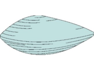 Sticker Custom Preview Image #014962 Animals Aquatic Clam1