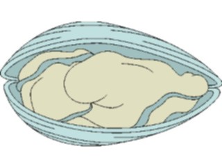 Sticker Custom Preview Image #014963 Animals Aquatic Clam2