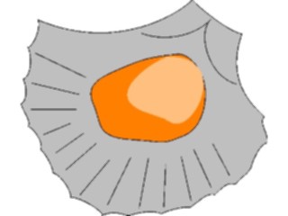 Sticker Custom Preview Image #014964 Animals Aquatic Clam3