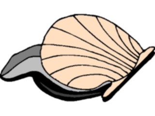 Sticker Custom Preview Image #014965 Animals Aquatic Clam4