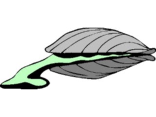 Sticker Custom Preview Image #014967 Animals Aquatic Clam6