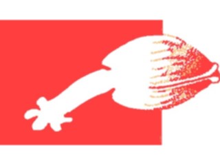 Sticker Custom Preview Image #014969 Animals Aquatic Clam Cutout