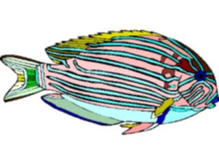 Sticker Custom Preview Image #014972 Animals Aquatic Clown Tang