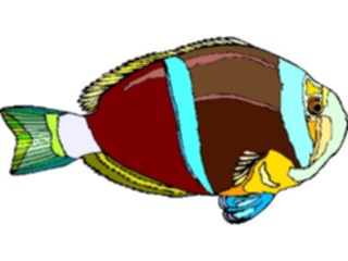 Sticker Custom Preview Image #014974 Animals Aquatic Clownfish