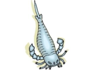 Sticker Custom Preview Image #014980 Animals Aquatic Copapod