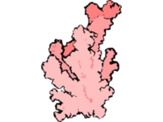 Sticker Custom Preview Image #014981 Animals Aquatic Coral01