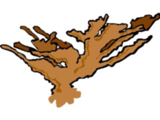 Sticker Custom Preview Image #014986 Animals Aquatic Coral06