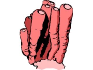 Sticker Custom Preview Image #014988 Animals Aquatic Coral08