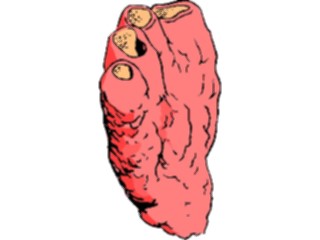 Sticker Custom Preview Image #014991 Animals Aquatic Coral11