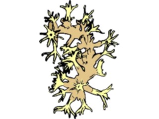 Sticker Custom Preview Image #014992 Animals Aquatic Coral12