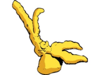 Sticker Custom Preview Image #014993 Animals Aquatic Coral13