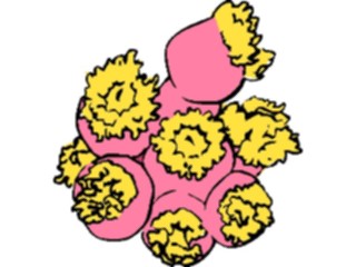 Sticker Custom Preview Image #014996 Animals Aquatic Coral16