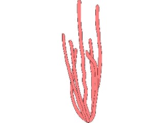 Sticker Custom Preview Image #014997 Animals Aquatic Coral17