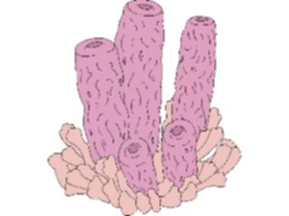 Sticker Custom Preview Image #014998 Animals Aquatic Coral18