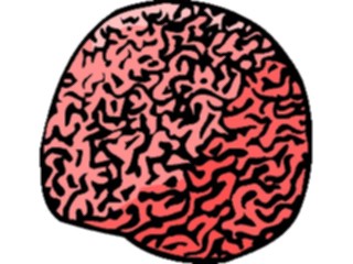 Sticker Custom Preview Image #014999 Animals Aquatic Coral Brain