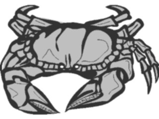 Sticker Custom Preview Image #015003 Animals Aquatic Crab01