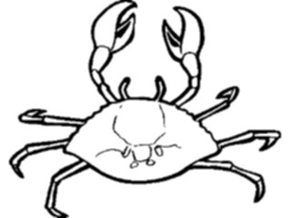 Sticker Custom Preview Image #015004 Animals Aquatic Crab02