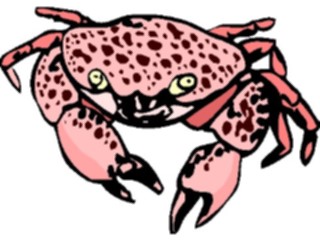 Sticker Custom Preview Image #015006 Animals Aquatic Crab04