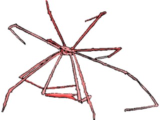 Sticker Custom Preview Image #015007 Animals Aquatic Crab05