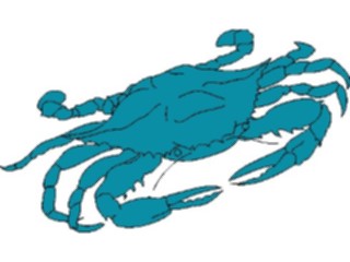 Sticker Custom Preview Image #015011 Animals Aquatic Crab09