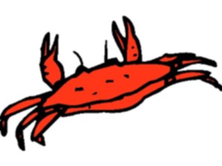 Sticker Custom Preview Image #015012 Animals Aquatic Crab10