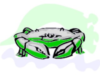 Sticker Custom Preview Image #015013 Animals Aquatic Crab11
