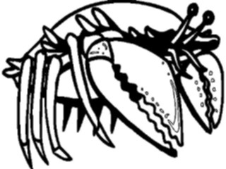 Sticker Custom Preview Image #015015 Animals Aquatic Crab13