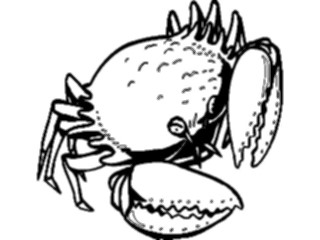 Sticker Custom Preview Image #015016 Animals Aquatic Crab14