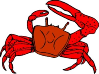 Sticker Custom Preview Image #015017 Animals Aquatic Crab15