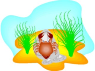 Sticker Custom Preview Image #015018 Animals Aquatic Crab16