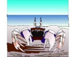 Sticker Custom Preview Image #015020 Animals Aquatic Crab18