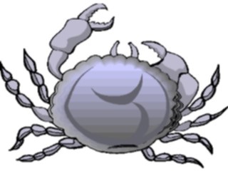 Sticker Custom Preview Image #015021 Animals Aquatic Crab19
