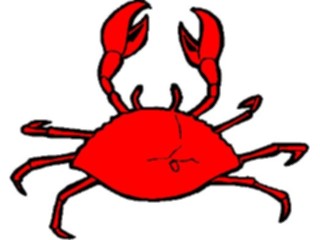Sticker Custom Preview Image #015025 Animals Aquatic Crab23