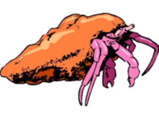 Sticker Custom Preview Image #015026 Animals Aquatic Crab Hermit1