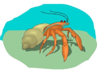 Sticker Custom Preview Image #015029 Animals Aquatic Crab Hermit4