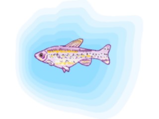 Sticker Custom Preview Image #015034 Animals Aquatic Danio1