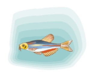 Sticker Custom Preview Image #015035 Animals Aquatic Danio2