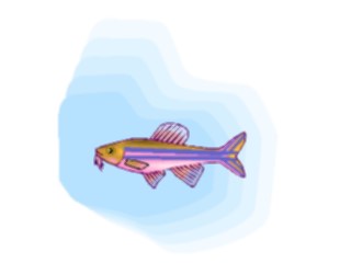 Sticker Custom Preview Image #015036 Animals Aquatic Danio3